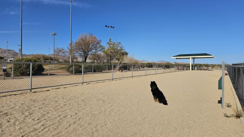 Laughlin Dog Park - Laughlin, NV