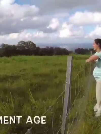 Magical Creatures Sanctuary - Laupahoehoe, HI