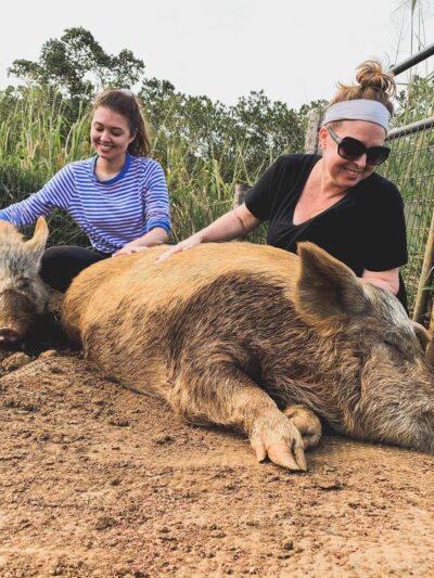 Magical Creatures Sanctuary - Laupahoehoe, HI