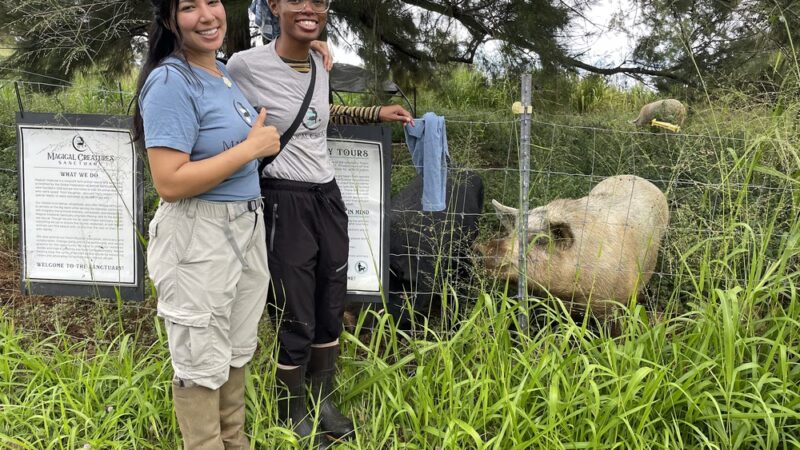 Magical Creatures Sanctuary - Laupahoehoe, HI