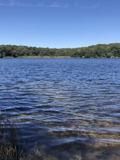 Laurel Lake Preserve - Laurel, NY
