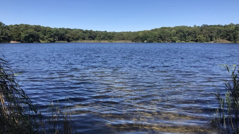 Laurel Lake Preserve - Laurel, NY