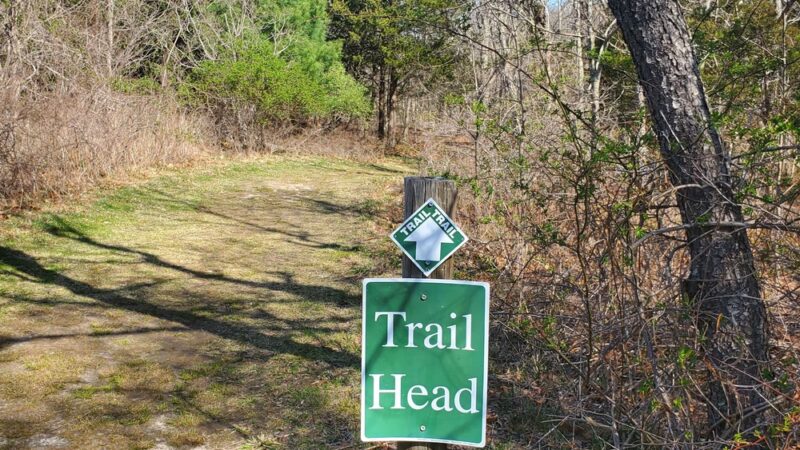 Laurel Lake Preserve - Laurel, NY