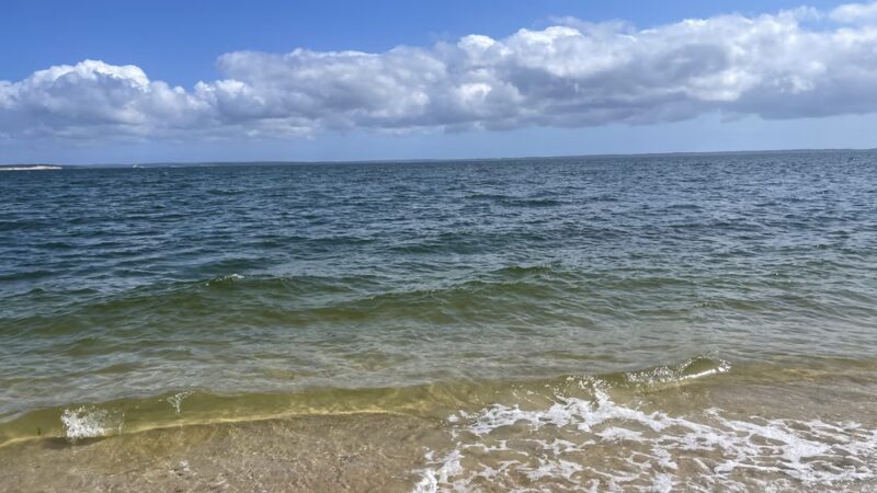 Peconic Bay Park - Laurel, NY