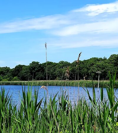 Peconic Bay Park - Laurel, NY