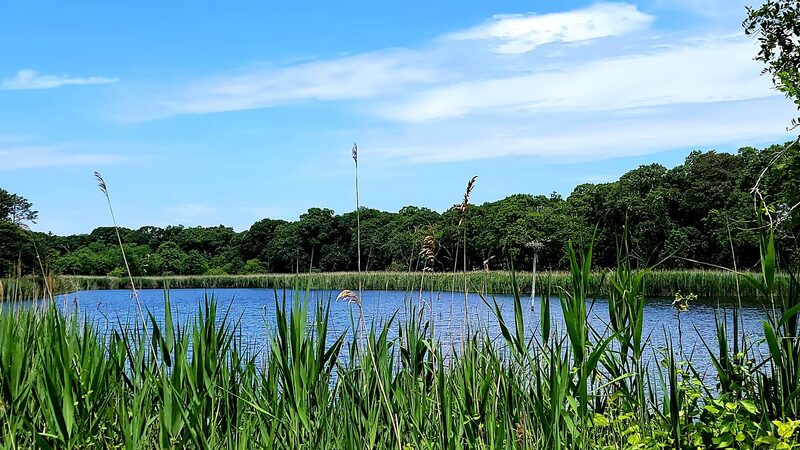 Peconic Bay Park - Laurel, NY