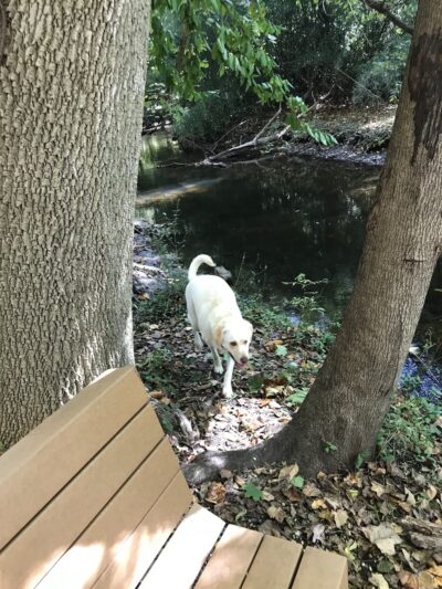 Crystal Springs Park - Laurel Springs, NJ