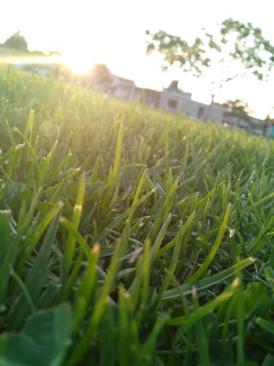 William Green Park - Lawndale, CA