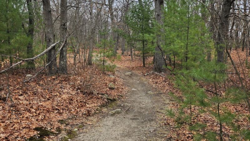 Den Rock Park - Lawrence, MA