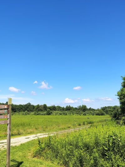 Mercer Meadows - Lawrence Township, NJ