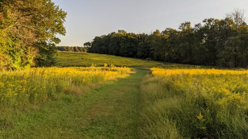 Mercer Meadows - Lawrence Township, NJ