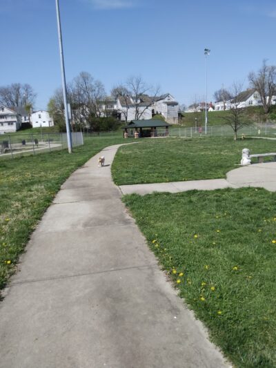 Gus's Dog Park - Lawrenceburg, IN