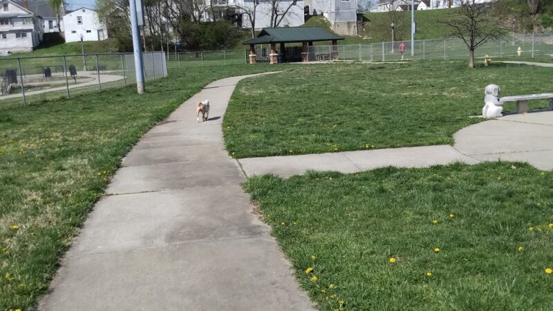 Gus's Dog Park - Lawrenceburg, IN