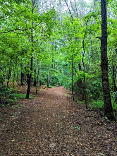 Rock Springs Park - Lawrenceville, GA