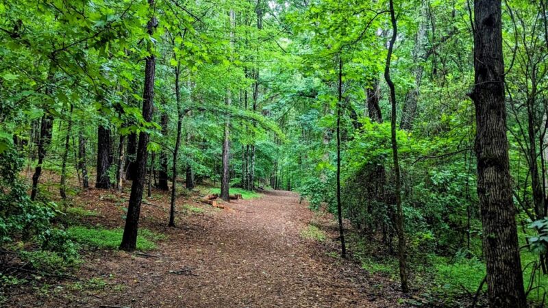 Rock Springs Park - Lawrenceville, GA