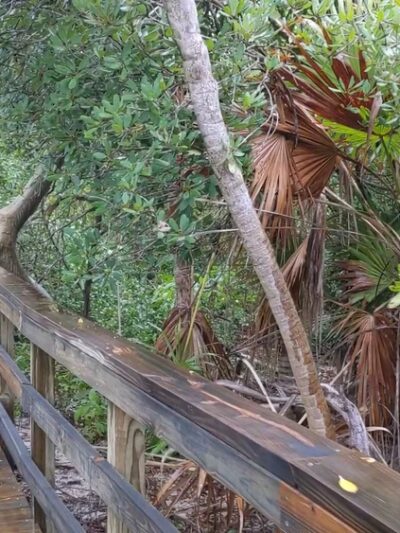 Long Key State Park - Layton, FL