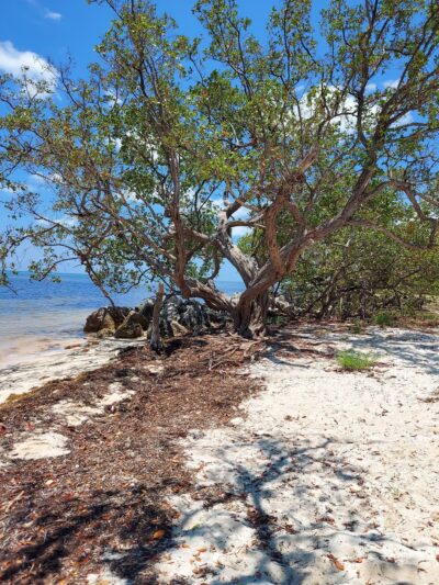 Long Key State Park - Layton, FL