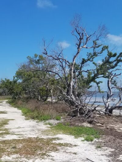 Long Key State Park - Layton, FL
