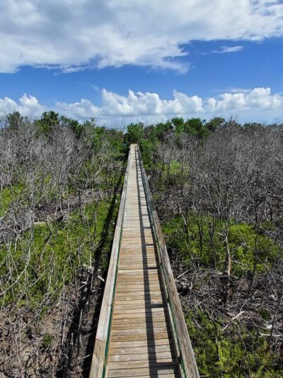 Long Key State Park - Layton, FL