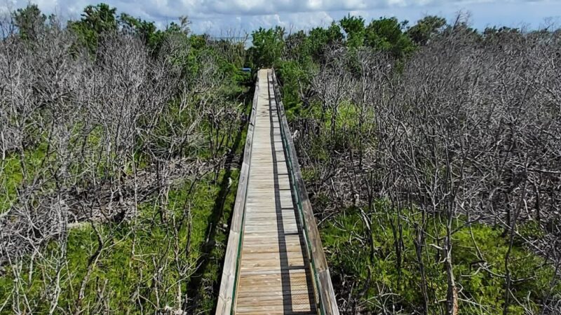 Long Key State Park - Layton, FL