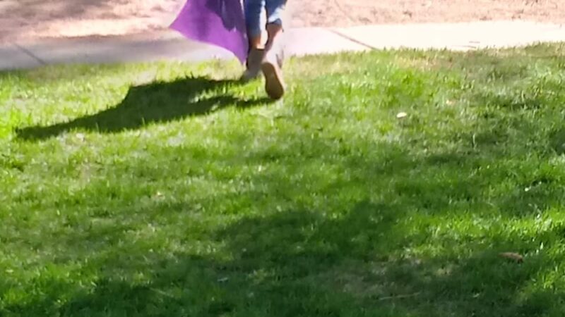 Camelot Park - Layton, UT