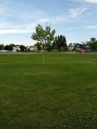 Chelsie Meadows Park - Layton, UT