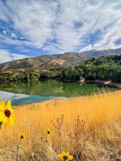 Kays Creek Parkway - Layton, UT