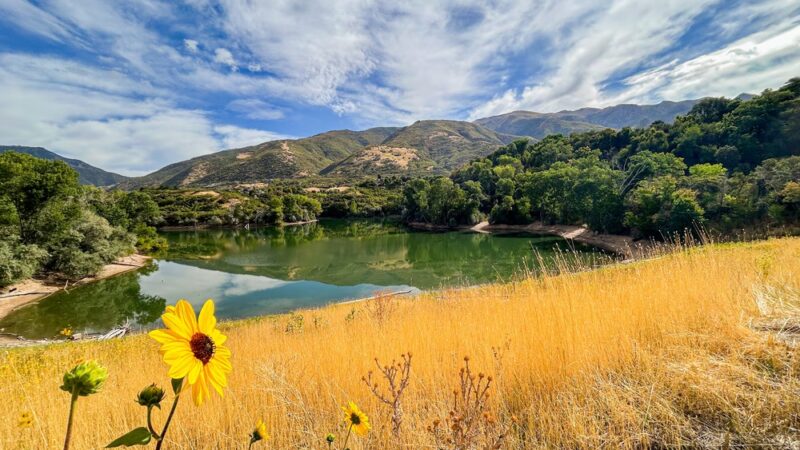 Kays Creek Parkway - Layton, UT