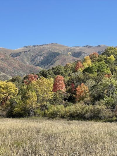 Kays Creek Parkway - Layton, UT