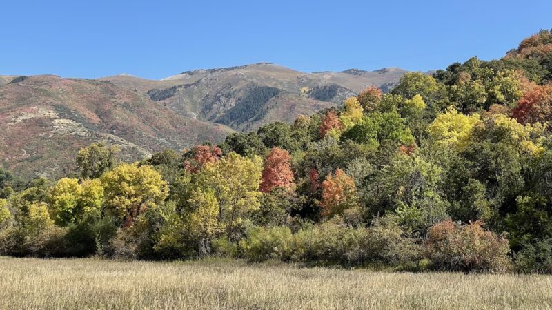 Kays Creek Parkway - Layton, UT