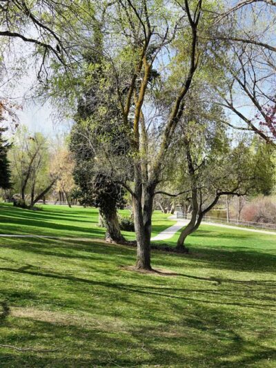 Layton Commons Park - Layton, UT