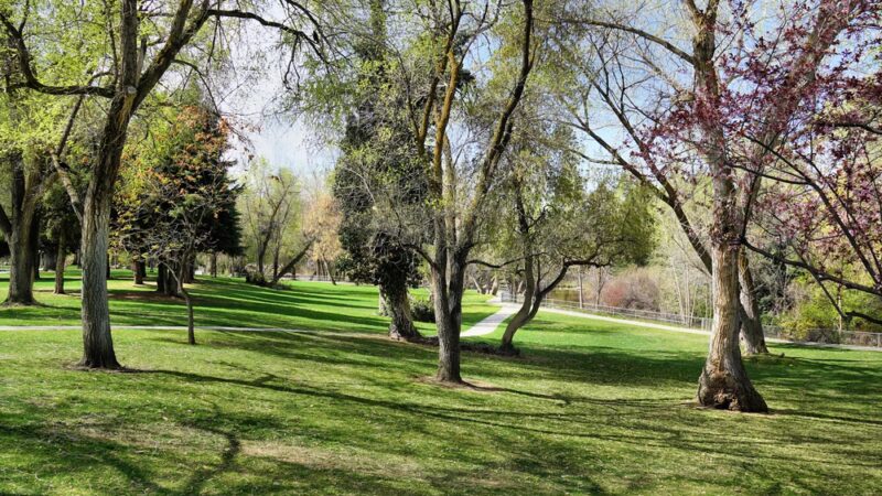 Layton Commons Park - Layton, UT