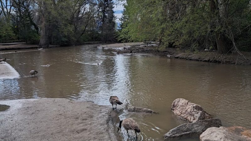 Layton Commons Park Duck Pond - Layton, UT