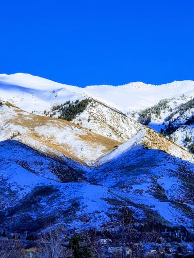 Oak Forest Park - Layton, UT