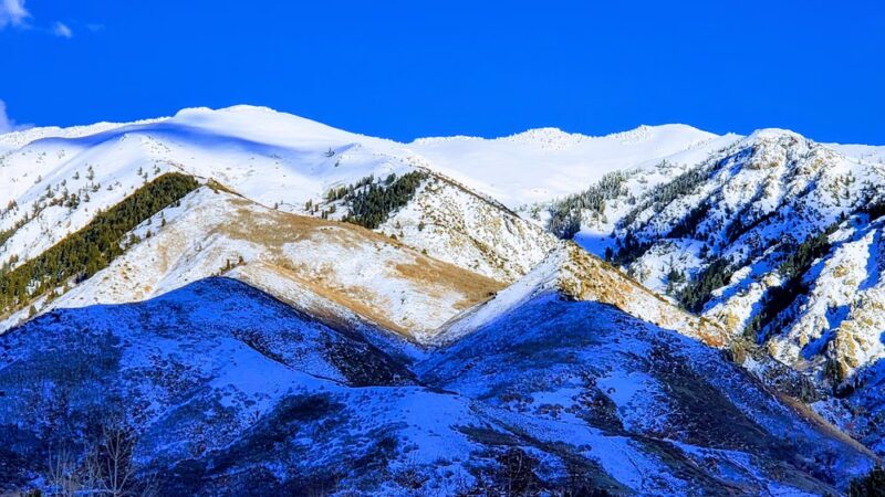 Oak Forest Park - Layton, UT