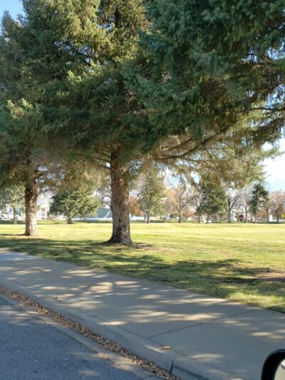 Vae View Park - Layton, UT