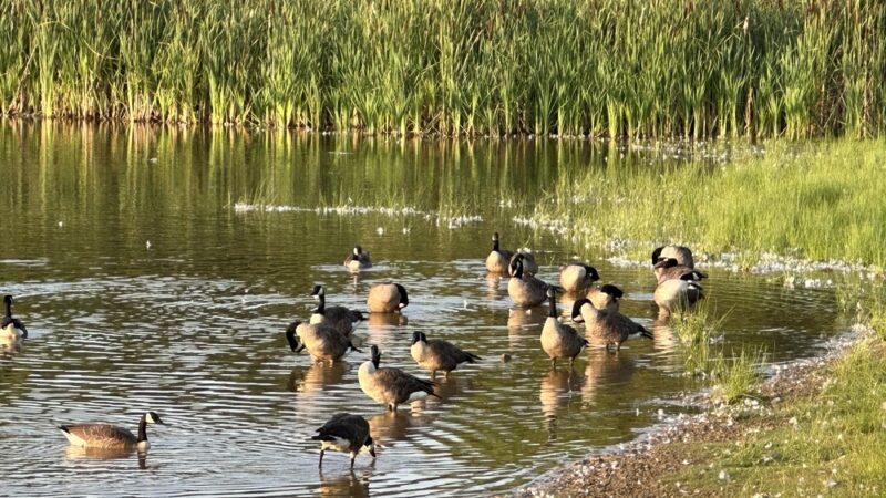 Jones Farm Park and Pond - Laytonsville, MD