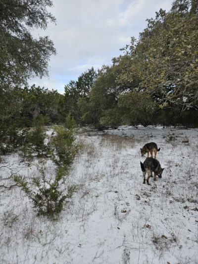 Shady Oaks Retreat 10+ Acre Private Dog Park - Leander, TX