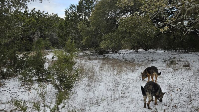 Shady Oaks Retreat 10+ Acre Private Dog Park - Leander, TX
