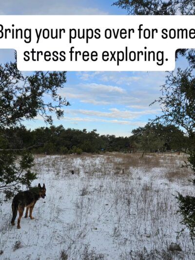 Shady Oaks Retreat 10+ Acre Private Dog Park - Leander, TX