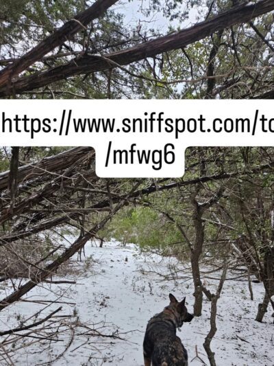 Shady Oaks Retreat 10+ Acre Private Dog Park - Leander, TX