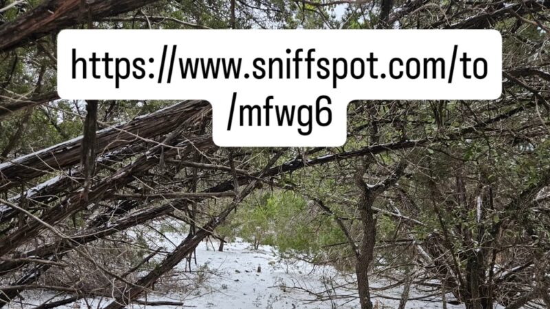 Shady Oaks Retreat 10+ Acre Private Dog Park - Leander, TX