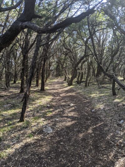 Warbler Vista Trails - Leander, TX