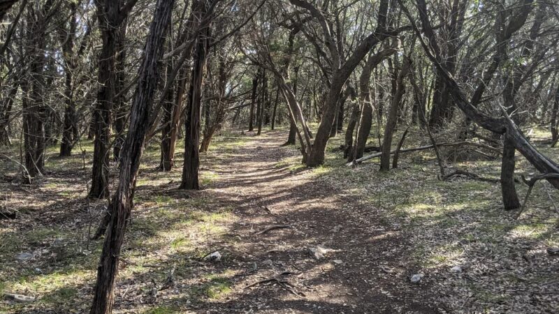Warbler Vista Trails - Leander, TX