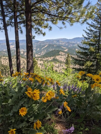 Freund Canyon Trailhead - Leavenworth, WA