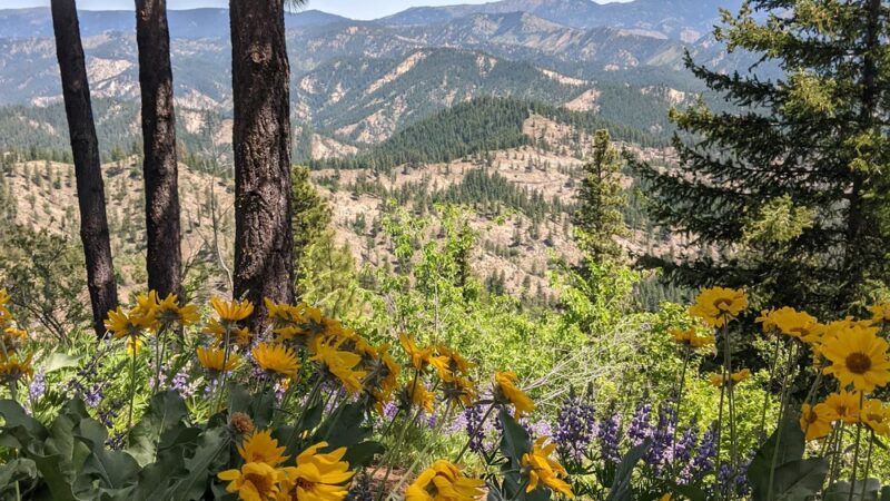 Freund Canyon Trailhead - Leavenworth, WA