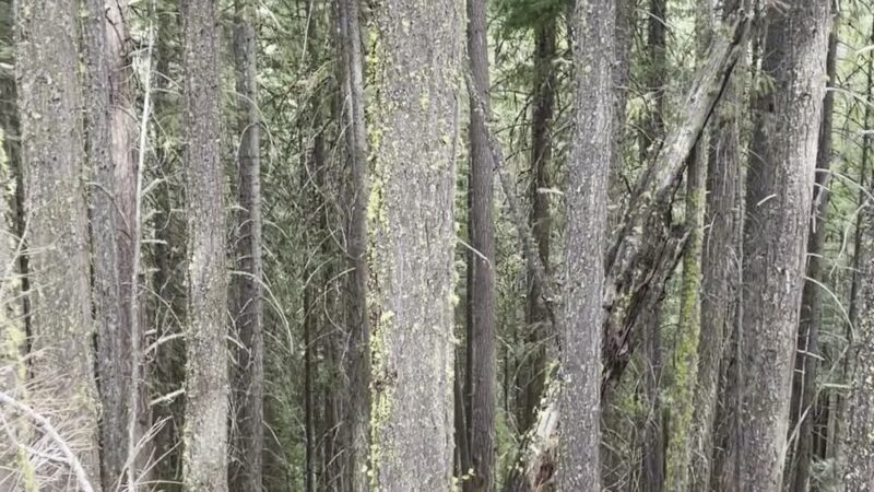 Ski Hill Trail - Leavenworth, WA