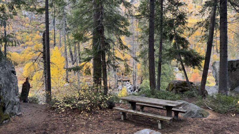 Swiftwater Picnic Area - Leavenworth, WA