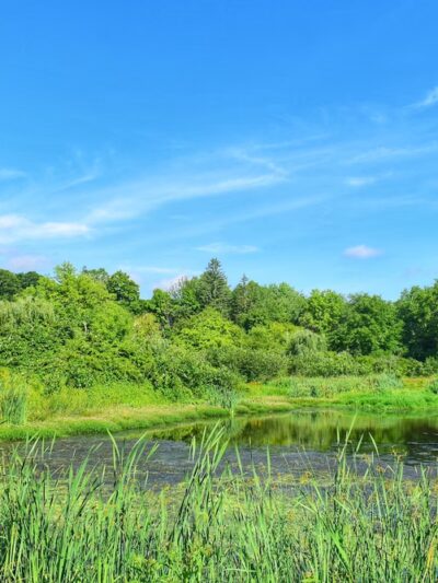 Hibbard Trail - Lebanon, CT