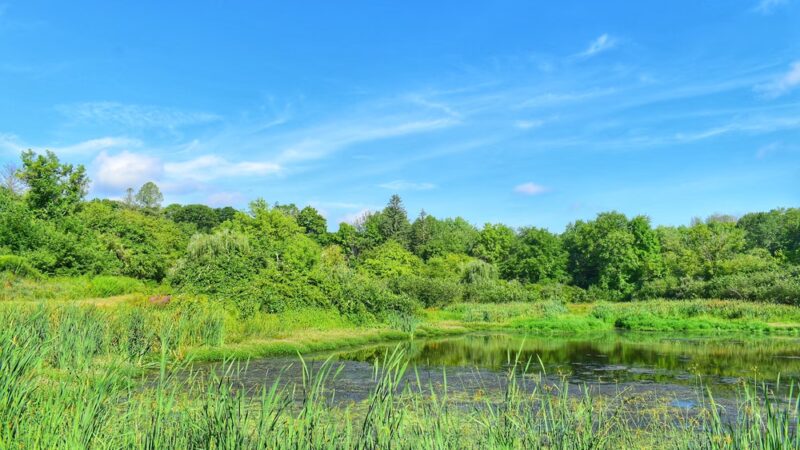 Hibbard Trail - Lebanon, CT